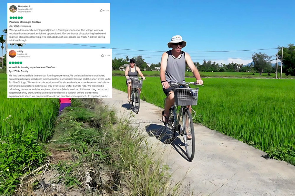 You’ll be surrounded by endless green fields and traditional gardens 